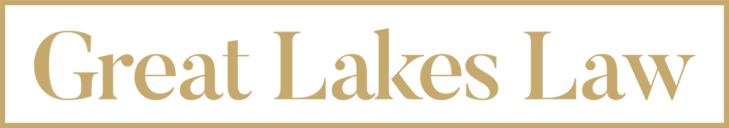 Great Lakes Law logo