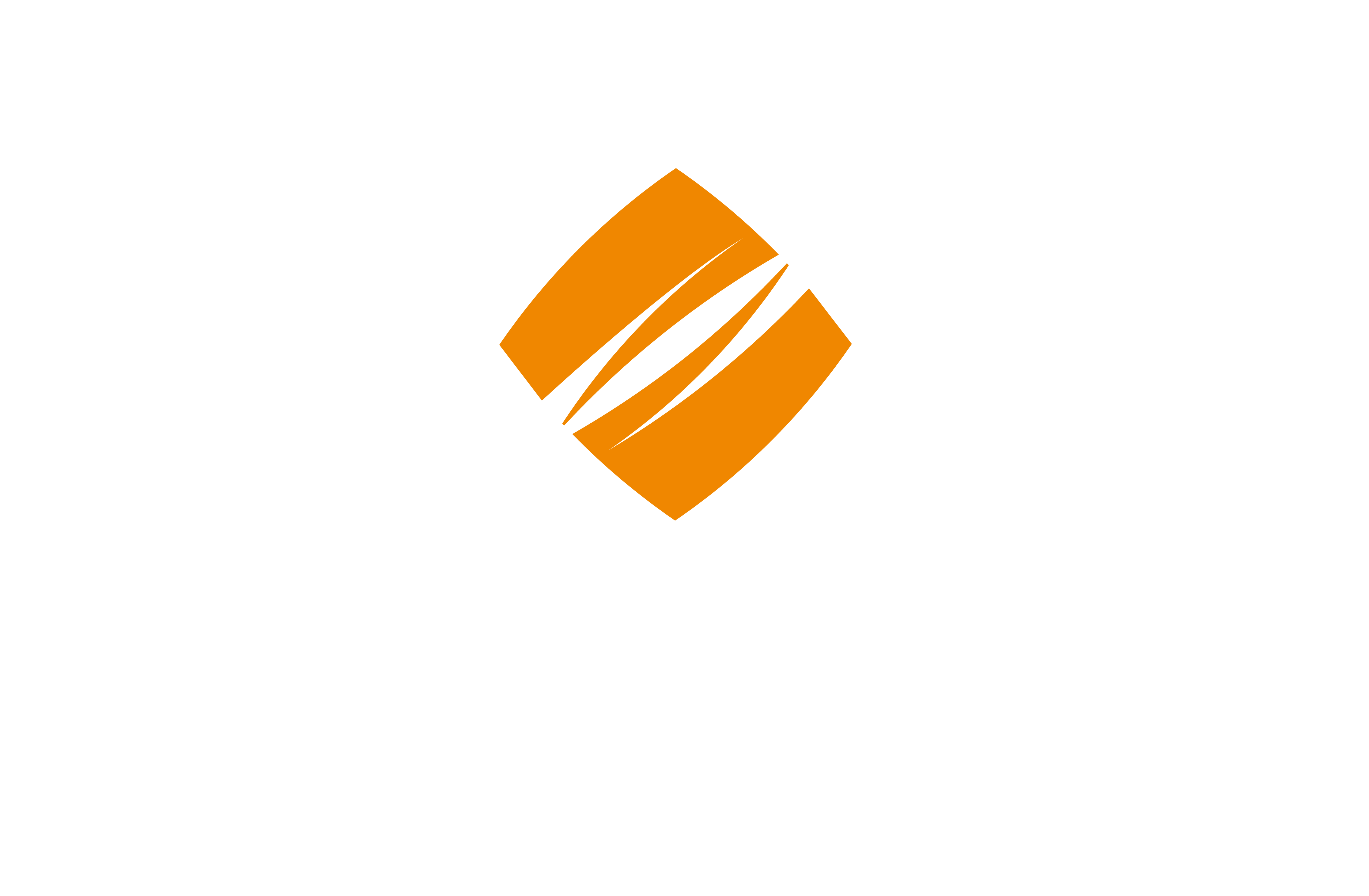 Stein Monast logo