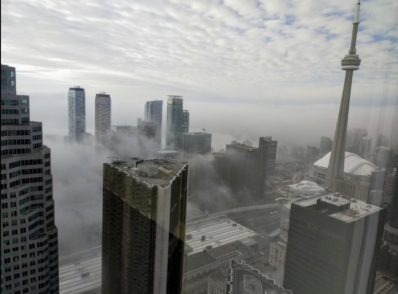 Toronto financial district skyline above low cloud, with the CN Tower